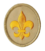 Scout rank patch